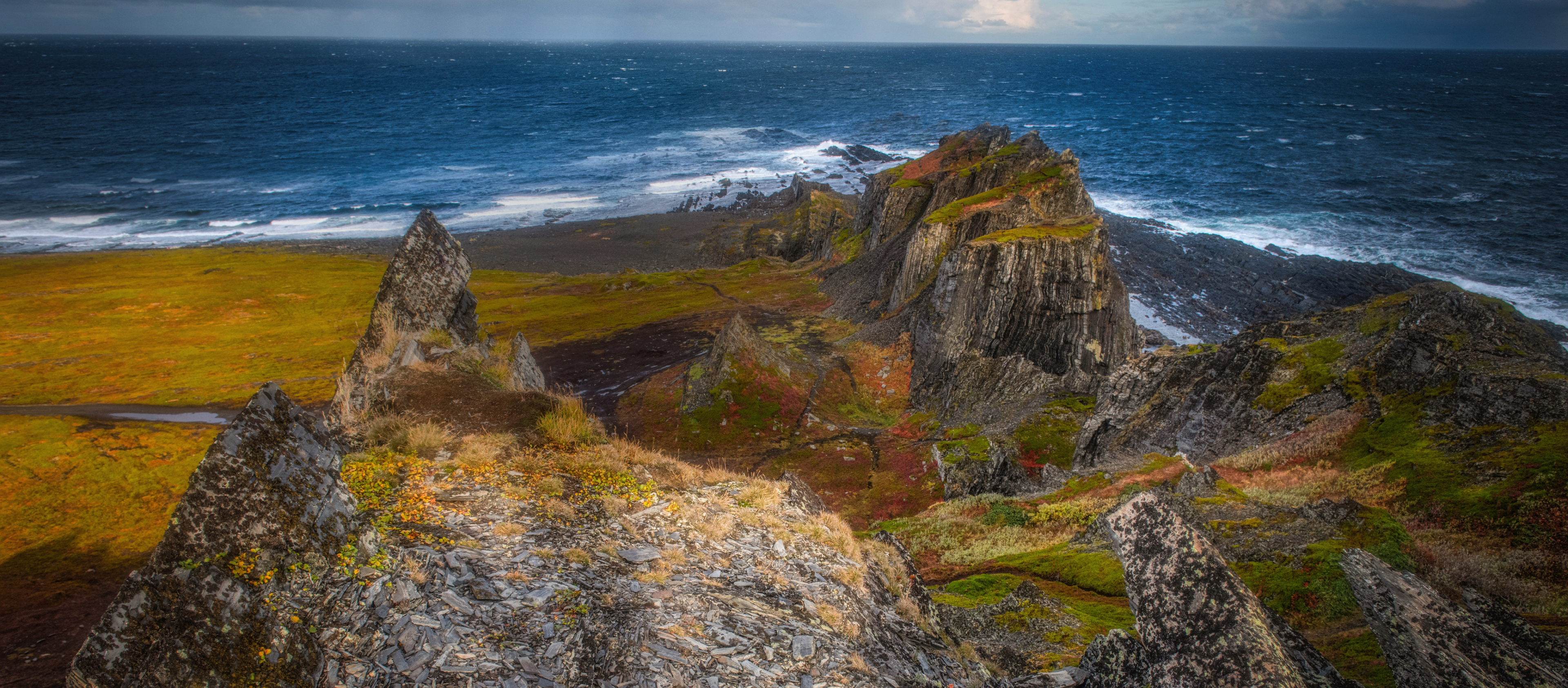 Багги тур к океану