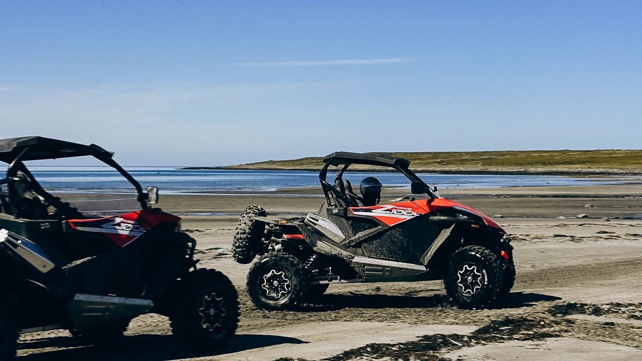 Багги тур к океану
