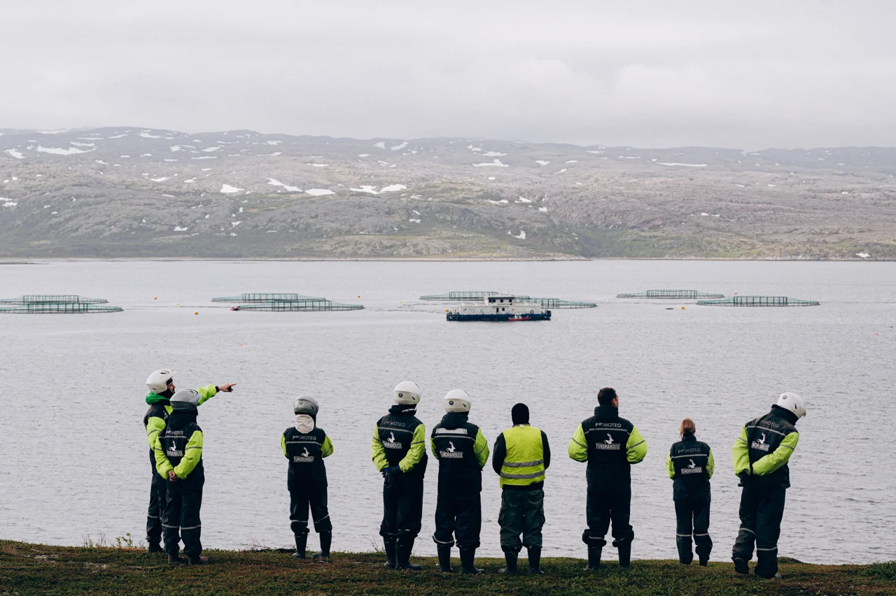 Багги тур к океану