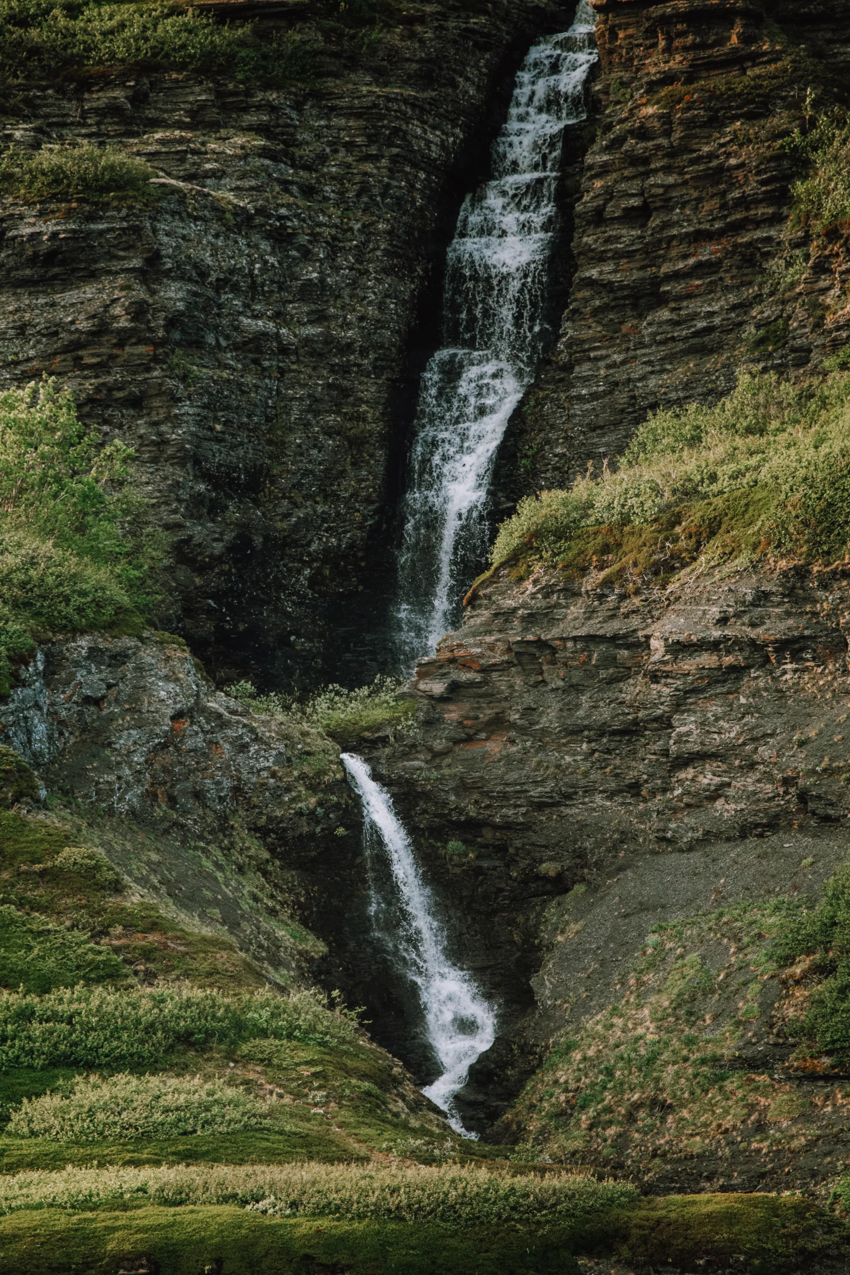 Багги тур к океану
